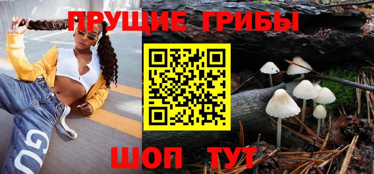 Галлюциногенные грибы GOLDEN TEACHER  Псилоцибиновые грибы мухоморы  Нарткала  Вход с VPN 